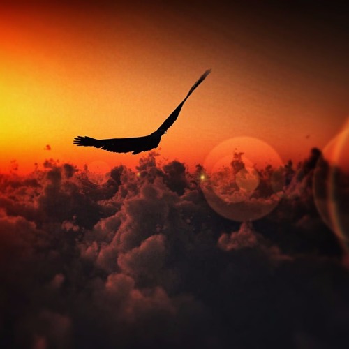 FortyTwo - Eagle Vision (Original Mix)[PSY/GOA]