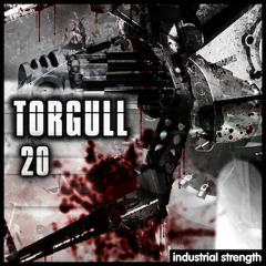 Torgull-One Thousand (Elisa do Brazil, Mabrook & Youthman Break The Code Remix)