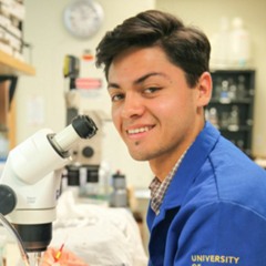 First-generation stories: Graduated, and off to UCLA to continue cancer research
