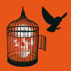 UKNOWHATIWANT (feat MØ)