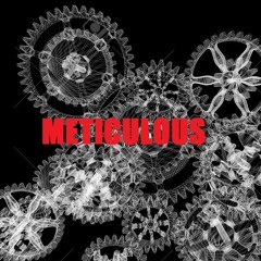 METICULOUS