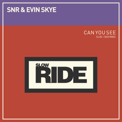 SNR & Evin Skye - Can You See (Sedi Remix)