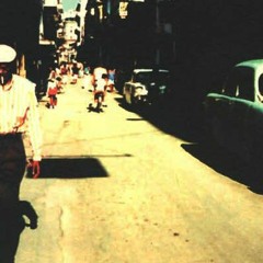 Buena Vista - KymaTek:Nixe