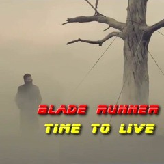 Time To Live (Blade Runner 2049 unofficial ost)- music composed by sebastien ride (srmusic)
