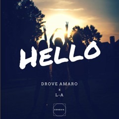 Drove Amaro x L-A - Hello [GNS02]