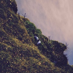 Nóta Amháin (Live - Algorithmic composition)