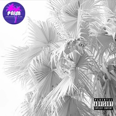 Palm of P A L M Vol. 15
