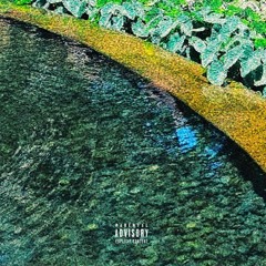 For The Low (Prod. Young Orange)