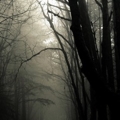Loops Of Doom IV - Drowning In Blood