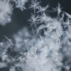 雪の華 Guitar Cover by En 2017/6/24