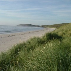 Six Scottish Songs (for flute, trumpet, cello, tuba, and percussion)