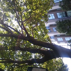 Feel good inc cover Ft. 19th St and Valencia SF symphony