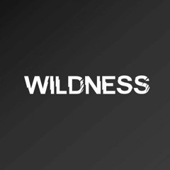 Wildness - Once Again