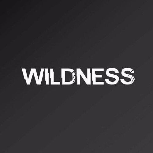 Wildness - Once Again