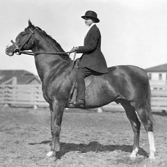 piano fire - sparklehorse (cover)