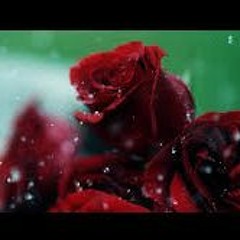 Franko Santana - No Love