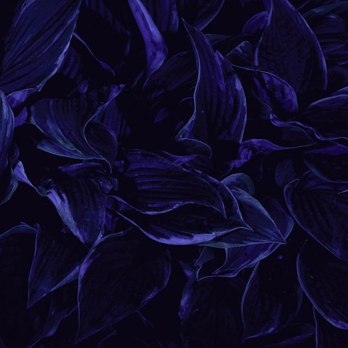 Harrison BDP - Decompression