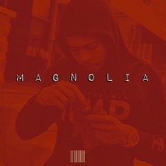 MAGNOLIA (REMIX)