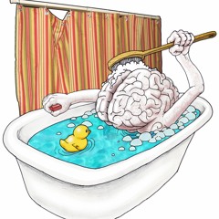 الدرس 14 : نظف دماغك بنفسك
