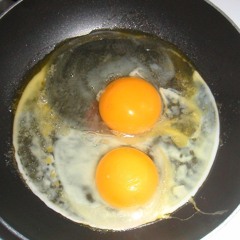 This Is Your Brain On Drugs