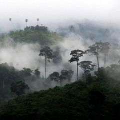 The C.O.D. ! (Instrumental)Prod. NT