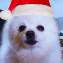 Last Borkmas