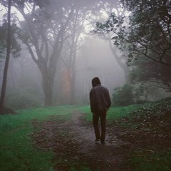 Fly Eats Spider - Hidden Room (Remix)