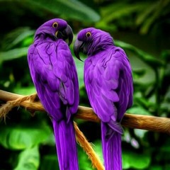 Nothing Can Separate Me From My Savior God; No, No, I Praise Him More, Then Sing Serve Him More