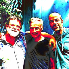 Duck (harmonica)- ElectroBluesSociety feat Kim Snelten