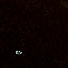 Idiosyncrasic matrix