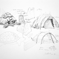 Drawing as Graphic Witness: Nidhal Chamekh in conversation with Kate Macfarlane