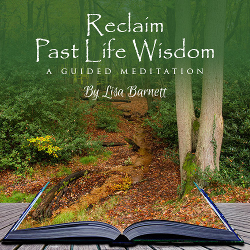 Stream Reclaim Past Life Wisdom Guided Meditation by Progress X