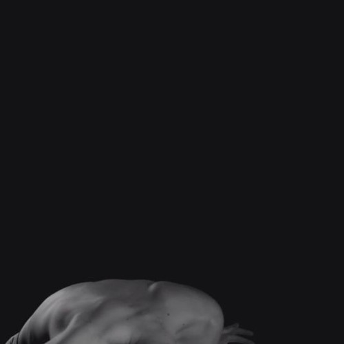 The Chain of the Spine [2017]