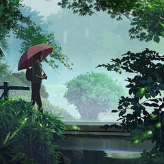 summer rain