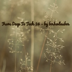 FROM DEEP TO TECH 24 - by birkenlauber