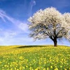 La Primavera (Víctor Velásquez)