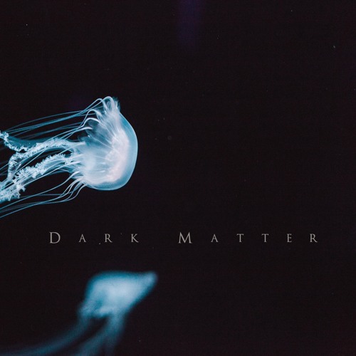 Dark Matter