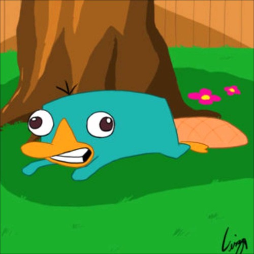 Perry The Platypus Noise Mp3 Free