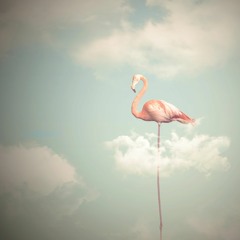 Sentinent Flamingo Telegram