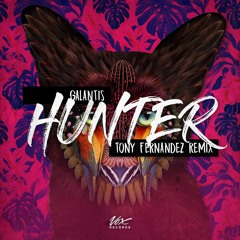 Galantis - Hunter (Tony Fernandez Contest Remix)LINK IN DESCRIPTION