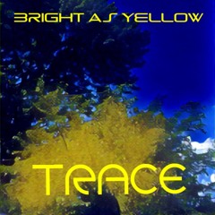 The Point Of Losing All