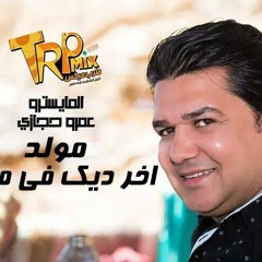 مولد اخر ديك فى مصر عمرو حجازي