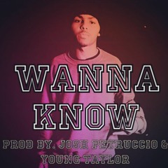 Wanna Know Prod By. Josh Petruccio & Young Taylor