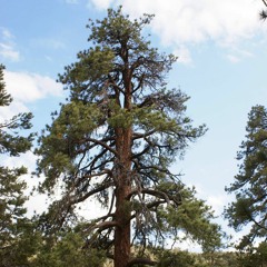 Live @ The Lost Weekend 2015 • Saturday Morning • 7am - 8am