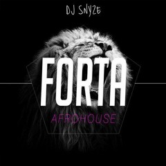 Dj SnyZe -  Forta (Official Music)