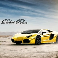 Dubai Police