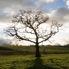 Fallen Angels: Love Theme - The Woods - Tree of Life (Complete Suite) [Demo] 24.06.17