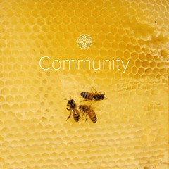 Episode 4.28 | Community