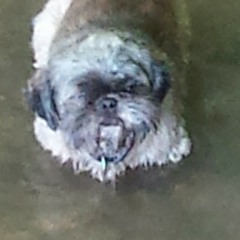 The Circle Maker (1st Take)