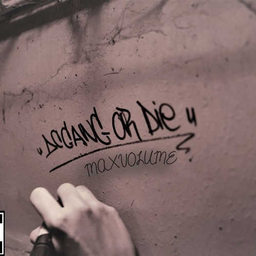 MAXVOLUME - P$mall x 2Rare